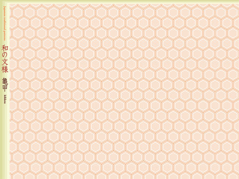 K'sBookshelf 和の文様(和柄) Japanese traditional patterns 亀甲 kikkou -V-