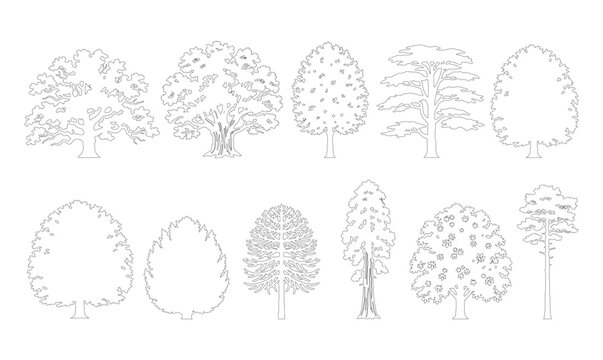 CAD line art varied canopy and conifer tree side view elevation set, outline round, oval and broad deciduous tree symbols for architectural landscape design plans. Editable stroke vector.