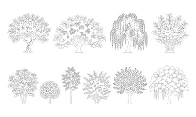 CAD line art ornamental and flowering tree side view elevation set, outline round canopy and weeping tree symbols for architectural garden and landscape design plans. Editable stroke vector. © Muhammad