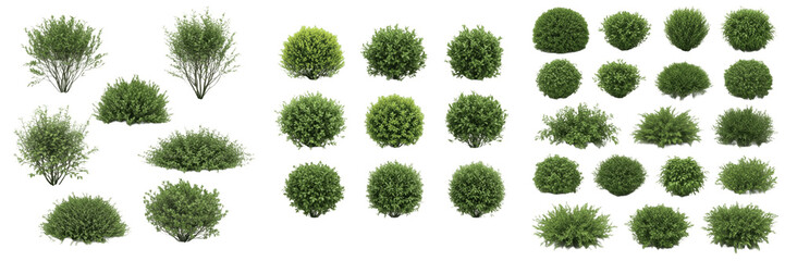Set of Nine Small Round Green Shrub Bushes Top View Grid Isolated on White Background for Landscape Architectural Plan and Garden Mapping Elements © Muusop