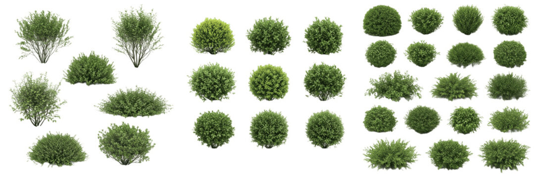 Set of Nine Small Round Green Shrub Bushes Top View Grid Isolated on White Background for Landscape Architectural Plan and Garden Mapping Elements