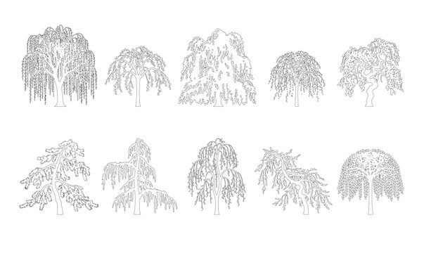 
CAD line art weeping willow tree side view elevation set, outline drooping canopy tree symbols for architectural landscape and water garden design plans. Editable stroke vector.