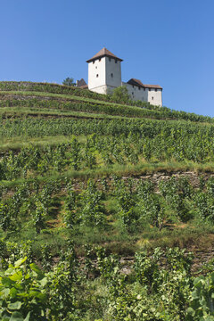 Gutenberg Castle on a hill surrounded by vineyards in Liechtenstein