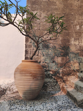 Traditional Greek terracotta pithos with frangipani tree against an ancient stone wall