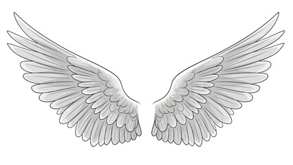 Fototapeta premium Detailed Illustration of Angel Wings.