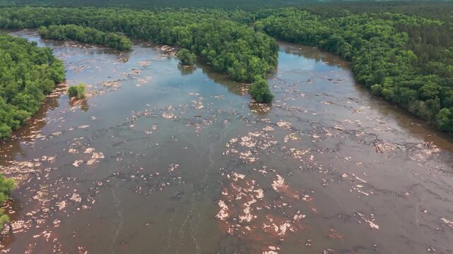 Aerial pull over Rocky Shoal Spider Lilies in bloom on the Catawba River in South Carolina, USA
