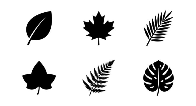 Botanical Leaf Icons Set, Nature Plant Silhouettes Collection, Organic Vector Graphics