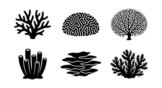 Coral Icons Set, Marine Life Vector Graphics, Underwater Organisms Collection