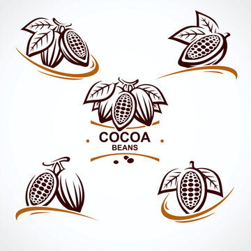 Cocoa beans label and icon set. Collection icons cocoa beans. Vector