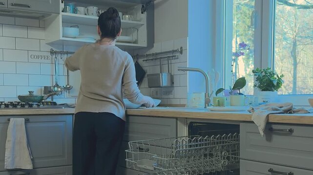 Clean plates are placed into kitchen cabinet after washing. Household organization and tidy kitchen routine