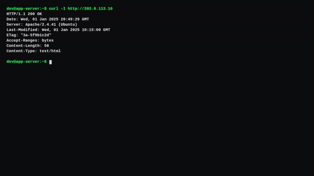 Backend developer using Linux curl command to inspect HTTP web server response headers
