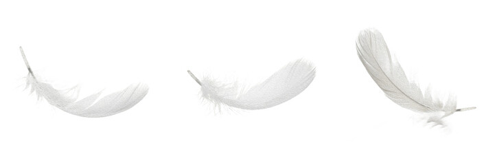 Soft Lightweight White Down Feather, Isolated Delicate Fluffy Goose Plume, Floating Bedding Comfort Concept Asset on Transparent Background © Uzainly O