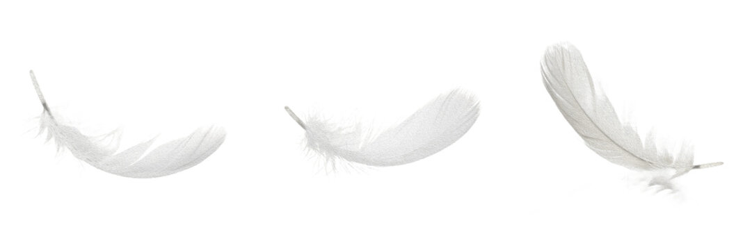 Soft Lightweight White Down Feather, Isolated Delicate Fluffy Goose Plume, Floating Bedding Comfort Concept Asset on Transparent Background