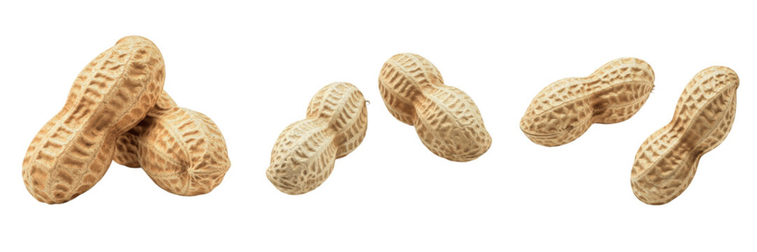 Raw peanuts in shell groundnuts premium PNG stock photo, realistic organic whole nuts bunch protein healthy snack isolated on white background design asset