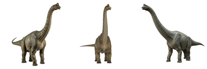 Brachiosaurus dinosaur prehistoric animal premium PNG stock photo, realistic sauropod long neck reptile extinct creature isolated on white background asset © Uzair