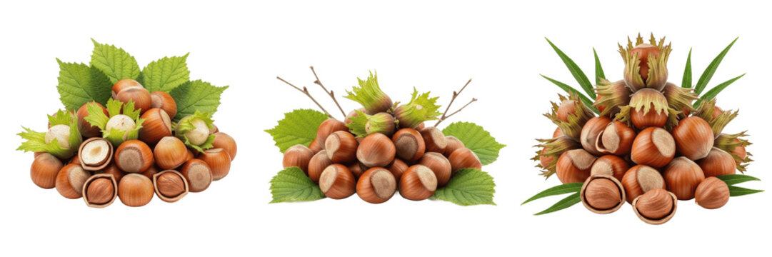 Hazelnuts bunch with green leaves premium PNG stock photo, realistic organic raw filbert nut seed health food item isolated on white background asset