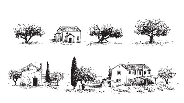 Olive trees landscape sketch, mediterranean countryside house illustration