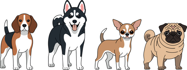 Dog Breeds Vector Set with Beagle, Husky, Chihuahua and Pug Cartoon Illustrations for Pet Lovers, Animal Collection and Domestic Companion DesignDog Breeds Vector Set with Beagle, Husky, Chihuah © Auwal