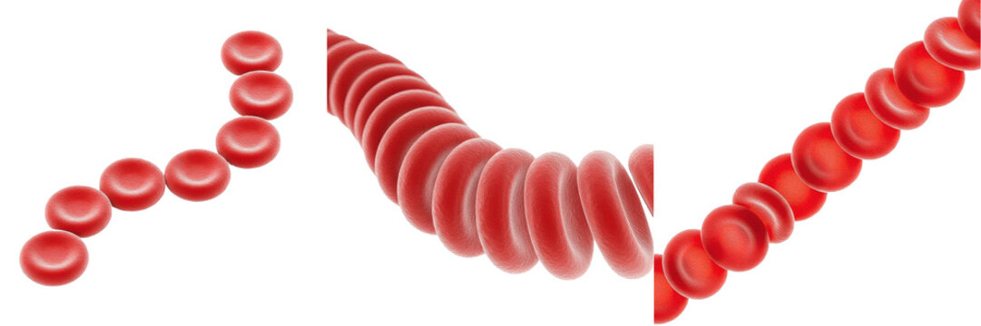 Red blood cells stack flowing chain rouleaux formation set isolated on white background