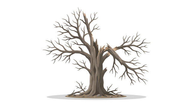 Dead Tree Bare Branches.