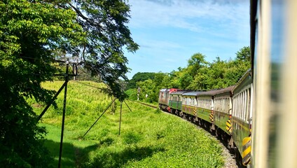 Fototapeta premium Classic passenger train curving through a lush green forest landscape under a bright blue sky.