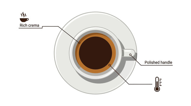 Coffee Cup Illustration.