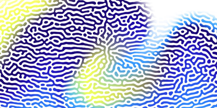 Abstract truing organic wallpaper Turing reaction diffusion monochrome seamless pattern with chaotic motion. Turing reaction diffusion monochrome seamless pattern with chaotic motion.