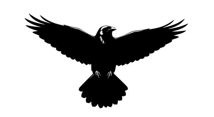 Fototapeta premium Black crow silhouette flying with open wings isolated on white background