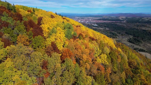 Scenic drone footage flying above a vibrant autumn forest filled with golden deciduous trees and evergreen pines overlooking a dramatic mountain range with snow-capped peaks. The clip captures the bea