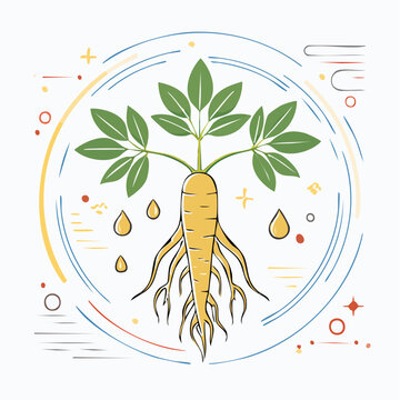 Ginseng Root Illustration with Leaves and Drops