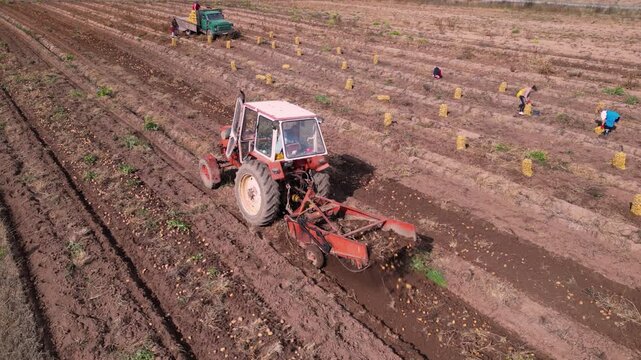 Drone footage of a tractor harvesting potatoes across cultivated farmland while agricultural workers collect crops into sacks. The aerial perspective highlights mechanized farming, crop harvesting, ru