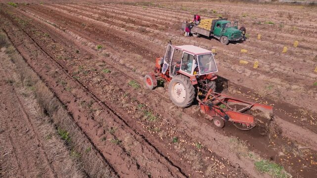 Drone footage of a tractor harvesting potatoes across cultivated farmland while agricultural workers collect crops into sacks. The aerial perspective highlights mechanized farming, crop harvesting, ru