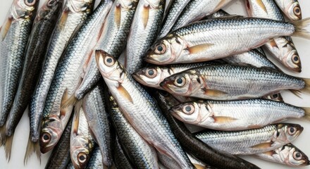 Obraz premium Pile of fresh, silvery fish with detailed scales, eyes, and fins