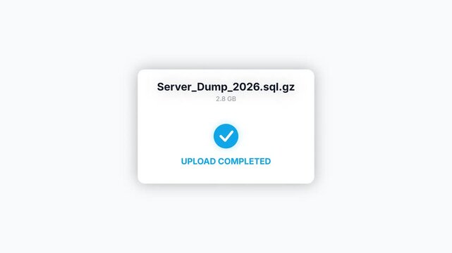 Server Database File Upload Progress Interface with Blue Loading Bar and Completion Checkmark on White Background