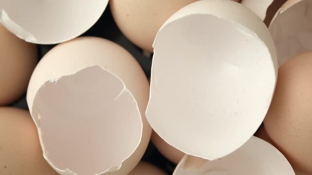 Broken eggshell halves arranged on black surface.