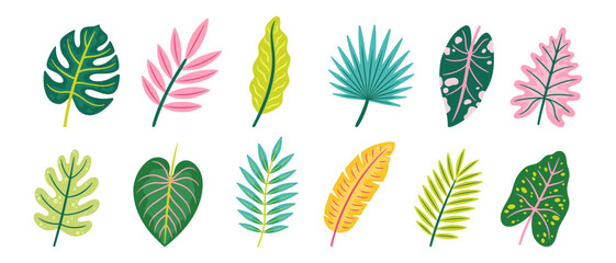 Tropical leaves collection with monstera, palm fronds, banana leaf and alocasia. Set of exotic jungle foliage in green, pink and yellow colors isolated on transparent background. © Mila