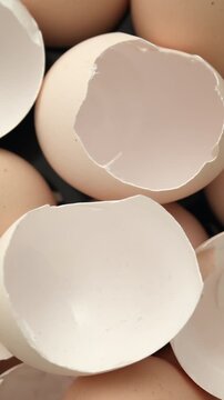 Eggshells scattered on black surface under soft light.
