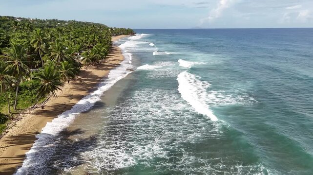 Slow Forward Drone Flight Along Tropical Beach in Rincon Puerto Rico

