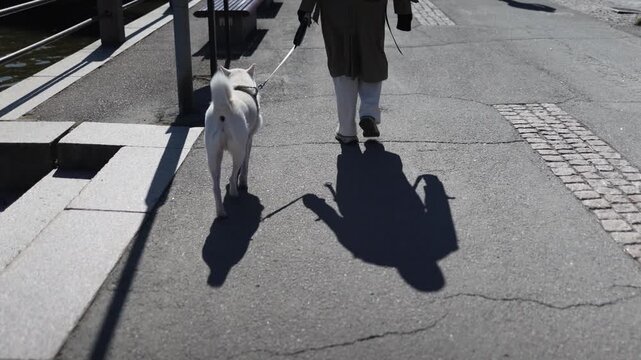 Person walking dog on leash through city street urban lifestyle scene casual daily walk outdoor pet companionship calm modern city atmosphere