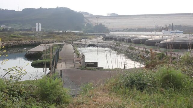 Industrial landscape of San Cibrao fish farm with Alcoa red mud dam background.
