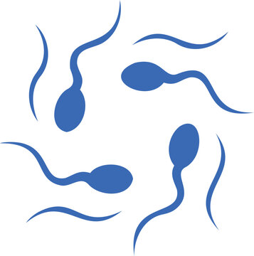 Four blue sperm cells moving on white background  biology and health concept