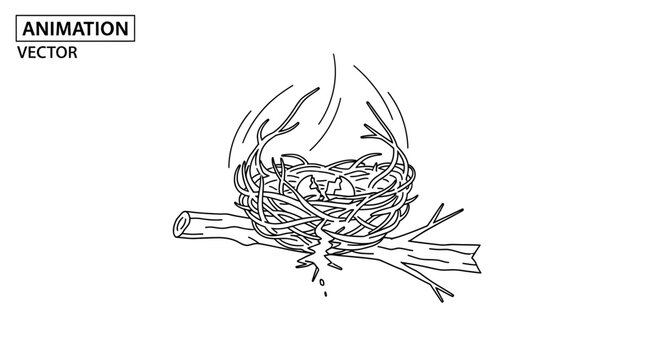 Animated Bird Nest with Eggs on Branch, Nature Animation Vector