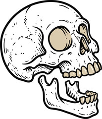 Fototapeta premium Open Mouth Skull