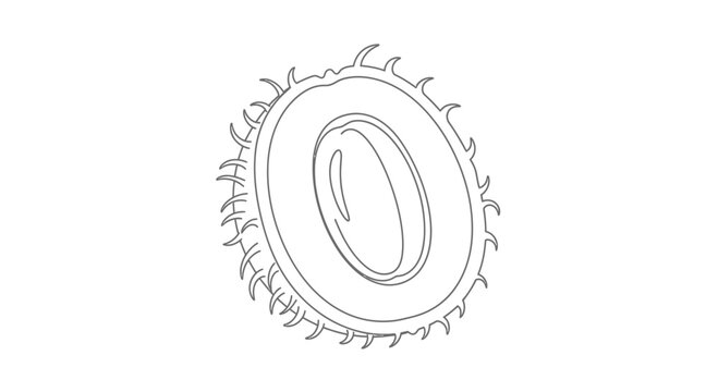 Whole and halved rambutan fruit, line art illustration, tropical exotic fruit, healthy food concept