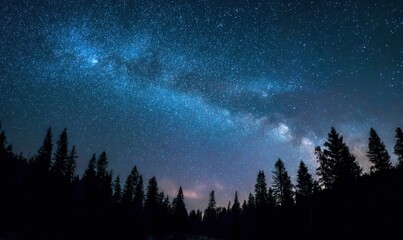 Obraz premium Starry sky with Milky Way over dark pine trees