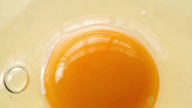Fresh raw egg yolk with clear albumen