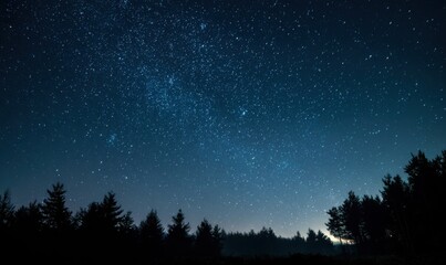 Fototapeta premium Night sky filled with stars over tree silhouettes
