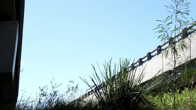 Close up of motorway overpass with waving native grasses in foreground and dramatic light contrast