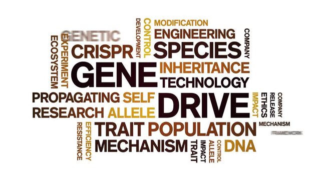Gene Drive animated word cloud-text design animation tag kinetic typography seamless loop.