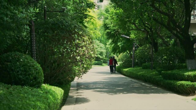 People walking on a tree - lined path